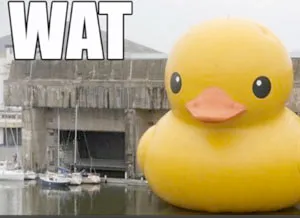 A giant inflatable rubber duck.